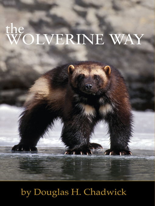 Title details for The Wolverine Way by Douglas H. Chadwick - Available